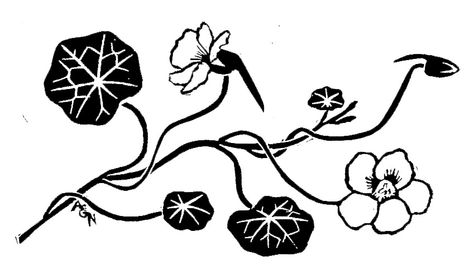 Nasturtium Illustration, Nasturtium Tattoo, Handmade Stamps, Place An Order, White Tattoo, Body Mods, Black Tattoos, Linocut, Block Print