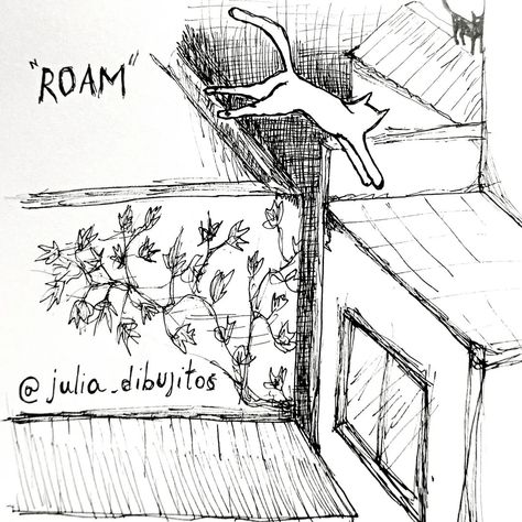 VAGABUNDEAR/ROAM DIA 14 #inktober #inktober2024 #inktober2024roam #inktober2024day14 #tinta #ink #drawing #inkdrawing #roam #roaming #cat Ink Drawing, Drawings, Quick Saves