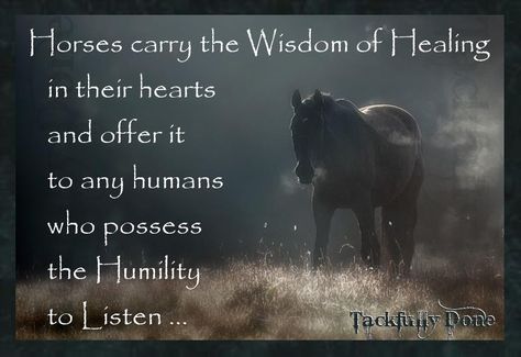 "Horses carry the Wisdom of Healing in their hearts and offer it to any humans who possess the Humility to Listen .... " Horse Healing, Equine Quotes, Horse Quote, Horse Meme, Inspirational Horse Quotes, Horse Riding Quotes, Equestrian Quotes, Cowgirl Quotes, Riding Quotes