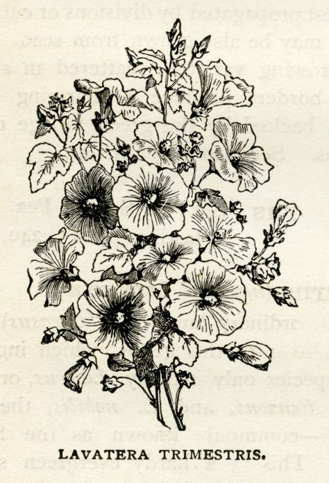 Bouquet Of Flowers Black, Flower Bouquet Illustration, Vintage Flower Tattoo, Flower Bouquet Drawing, Bouquet Illustration, Flower Bouquet Tattoo, White Flower Bouquet, Bouquet Tattoo, Vintage Bouquet