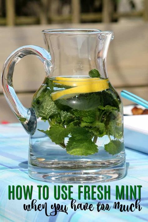 Mint Recipes Fresh, Mint Benefits, Lemon Mint Water, Mint Detox Water, Drinking Alkaline Water, Mint Water, Drinking Hot Water, Mint Recipes, Herb Recipes