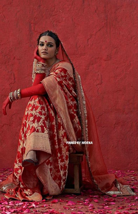 Anita Dongre Bridal, Girls Fasion, Sabyasachi Bridal, Sabyasachi Mukherjee, Sabyasachi Sarees, Indian Saree Blouses Designs, Saree Photoshoot, Fashion Drawing Dresses, Bridal Photoshoot