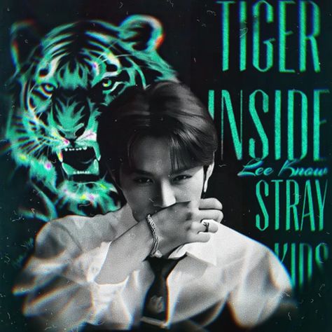 Tiger Inside Lee Know, Lee Know Tiger Inside, Cover Album, Lee Know Stray Kids, Lee Minho, Lee Know, Album Covers, Stray Kids, Pins