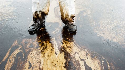 While patrolling the mattress-in-a-ditch beat, Zertuche noticed that people were dumping something else. Oil Spillage, Environmental Scientist, Oil Spill, Crude Oil, Oil Company, Gulf Of Mexico, Black Sea, Oil And Gas, Orange County