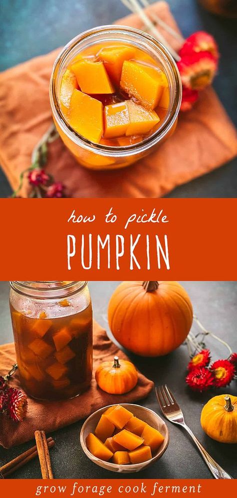 Ever wondered How to Pickle Pumpkin? Our guide offers a step-by-step journey into the art of pickling this beloved winter squash. Explore our Winter Squash Recipes collection for more ways to enjoy these hearty, seasonal delights. Pickled Pumpkin Recipe, Seasonal Recipes Fall, Quick Pickle Recipe, Refrigerator Pickle Recipes, Quick Pickle, Holiday Cheese Boards, Winter Squash Recipes, Pumpkin Beer, Thanksgiving Side Dish