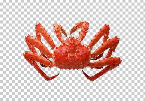 Red King Crab, Deadliest Catch, Red King, King Crab, Seafood Boil, Fresh Seafood, Freshwater Fish, Dream Nails, Png Image