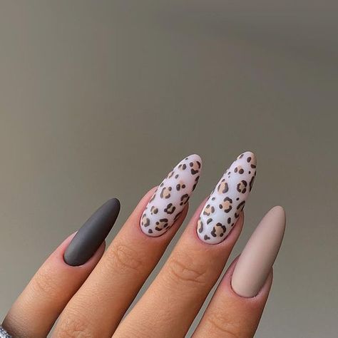 INDIGO DESIGNER❣️ on Instagram: "🐆🐆🐆 •Cashmirella •Darkfluencer •SL Gel White •Top Super Matte @indigonails 🥳🖤 #nails #nailsofinstagram #nailsoftheday #nailinspo #panther #autumn #autumnnails #nailstagram #instanails #gelnails #gelpolish #uñas #paznokcie #indigonails #indigodesigner #longnails #nailswag #nailporn #nailpolish #nailart #nailsdesigns #nailobsession #nailtech #nailfashion #nailsofig #nailsdesigner #indigogirl" Panther Nails, Panthers Nails, Indigo Nails, October 27, Nail Tech, Swag Nails, Long Nails, White Top, Fashion Nails