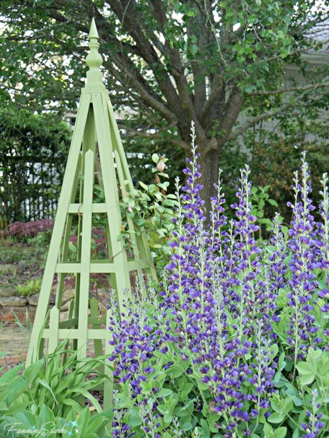 Obelisk Trellis Diy How To Build, Pyramid Trellis, Diy Pyramid, Wall Mounted Trellis, Cattle Panel Trellis, Door Trellis, Cedar Trellis, Rustic Trellis, Pot Trellis