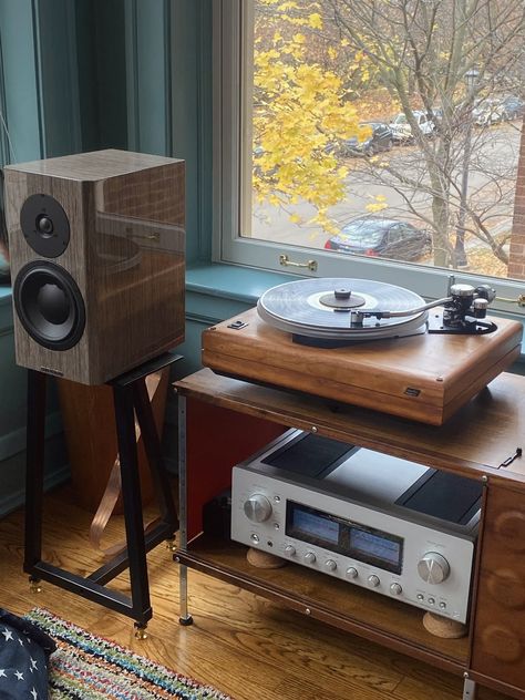 Stereo Speakers Living Room, Audio Furniture, Vinyl Record Room, Tea House Design, Audiophile Room, Hifi Room, Audiophile Listening Room, Home Music Rooms, Vinyl Room