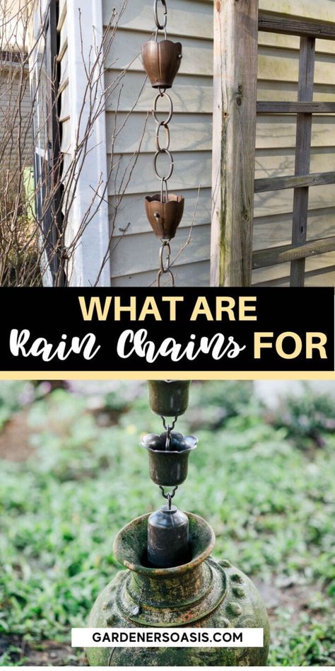 What Is A Rain Chain? And How Does It Work? | Gardening How To Make A Rain Chain, Rain Chain Installation, Rain Chain Diy, Rain Chain Garden, Copper Rain Chains, Perennial Ground Cover, Rain Chains, House To Home, Rain Chain