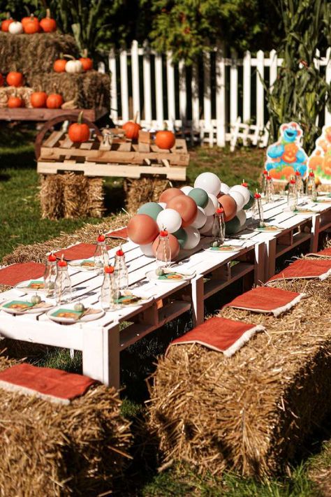 Take a look at this fun Fall pumpkin themed Sesame Street birthday party. The table settings are fantastic! See more party ideas and share yours at CatchMyParty.com Fall Birthday Party Decorations, Pumpkin Patch Birthday Party, Sesame Street Birthday Party Ideas, Pumpkin Patch Birthday, Pumpkin Patch Party, Fall Pumpkin Patch, Pumpkin Birthday Parties, 2nd Birthday Party For Boys, Fortnite Party