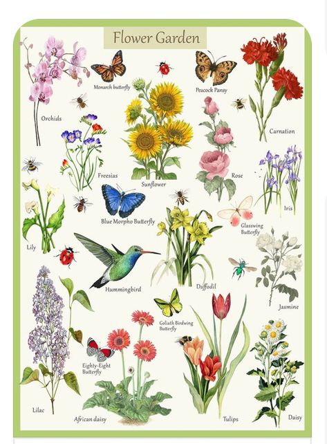 Common Flowers, Butterfly Puzzle, Flower Puzzles, Sunflowers And Roses, Puzzles For Adults, Dream Garden, Garden Planning, Cut Flowers, Flower Beds