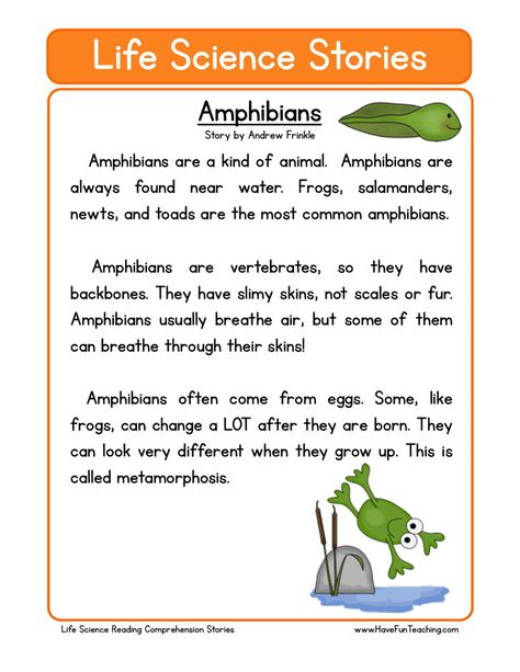 Life Science Stories Middle School Life Science, Life Science Experiments, Phonics Stories, Life Science Classroom, Life Science Projects, Story Worksheet, Life Science Middle School, Science Reading Comprehension, Ingles Kids