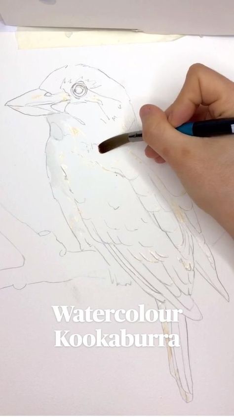 Watercolour Kookaburra | Watercolor bird, Watercolor paintings, Watercolor art lessons Watercolor Birds Tutorial, Watercolor Paintings Of Animals, Bird Watercolor Paintings, Watercolor Birds, Art Tutorials Watercolor, Bird Watercolor, Paintings Watercolor, Diy Watercolor Painting, Watercolor Painting Techniques