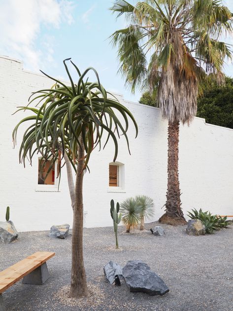 Courtyard Landscape Architecture, Gravel Courtyard, Cactus Garden Design, Courtyard Landscape, Mid Century Landscape, Arizona Backyard, Small Japanese Garden, Japanese Style Garden, Courtyard Landscaping