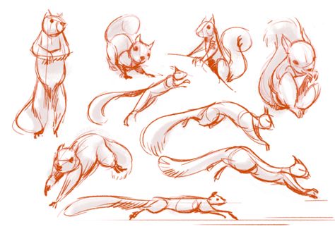 This is not a human, but the sleek posture of the squirrel reminds me of a cat. Could prove useful. Sketches Of Animals, Human Animation, Squirrel Art, Person Cartoon, Animal Study, Animal Sketches, Drawing Tutorials, Character Design References, Squirrels