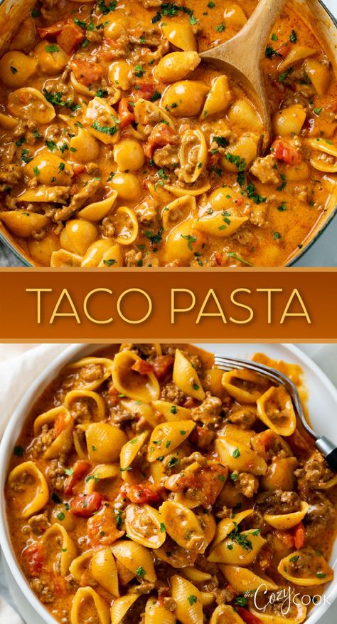 taco pasta with small shells and ground beef in a taco sauce Easy Weekday Dinners, The Cozy Cook, Cozy Cook, Ground Beef Recipe, Easy Weekday Meals, Taco Pasta, Easy Ground Beef, Dinner On A Budget, Winter Dinner Recipes