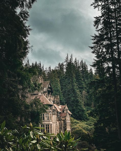 Cragside ~ February postcards giving depth and mood to @ntcragside 🌱 Loved exploring even on a damp day the beauty of @ntcragside is immense. The rich tones and scenes the weather gives I’m totally here for it 🙌🏻 Cragside House set within the national trust park was Britain’s original ‘smart home’. The pioneering Victorian mansion was powered with hydro electricity and filled with gadgets and inventions. Cragside’s house and estate was created by a remarkable couple, Lord William and Lad... Hydro Electric, Victorian Mansions, National Trust, Give It To Me, Beauty, Instagram