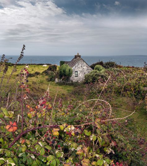 Cottage in Ireland photographed Galina Solomentseva Irish Cottage, Irish Landscape, Ireland Landscape, Cottage By The Sea, By The Ocean, English Countryside, Ireland Travel, British Isles, Nature Landscape