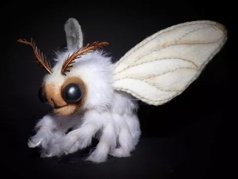 Venezuelan Poodle Moth Venezuelan Poodle Moth, Poodle Moth, Weird Insects, Large Moth, Cute Moth, Cool Insects, Strange Creatures, Moth Wings, Pinterest Group