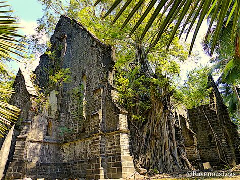 The abandoned Ross Island in Andaman - Ravenous Legs Ross Island, Scuba Diving Certification, Havelock Island, Rose Island, Port Blair, Andaman Islands, Funky Sunglasses, Andaman And Nicobar Islands, British Architecture