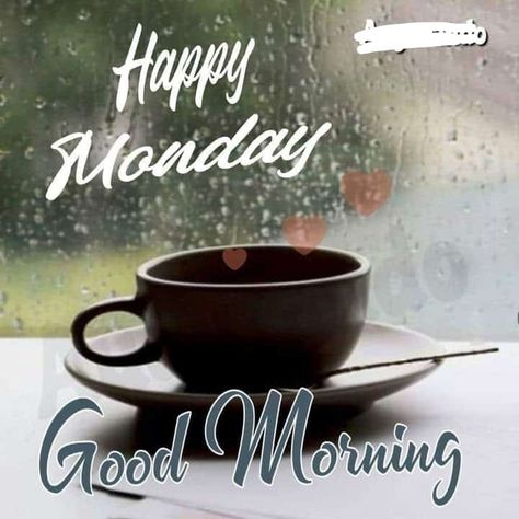 Rainy Monday Morning, Good Morning Rainy Day, Rainy Monday, Monday Morning Quotes, Good Monday Morning, Funny Coffee Quotes, Weekday Quotes, Rainy Morning, Monday Quotes