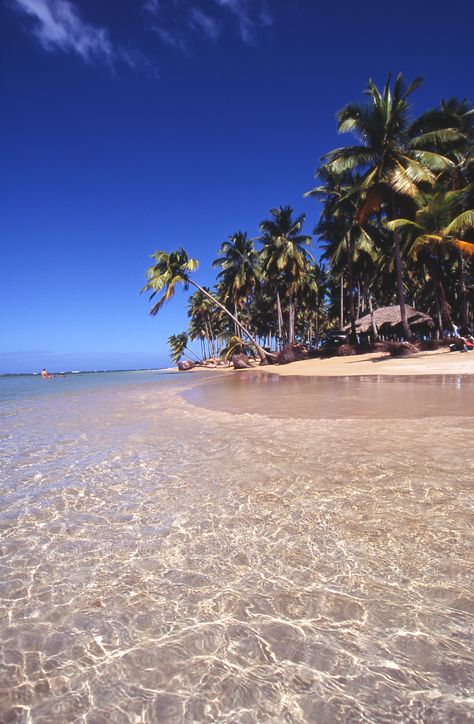 Playa Bonita at Sanama - Dominic Republic Dominic Republic, Samana Dominican Republic, Wedding Airbnb, Haiti And Dominican Republic, Punta Cana Beach, Caribbean Beaches, Dream Beach, Future Travel, Beach Scenes