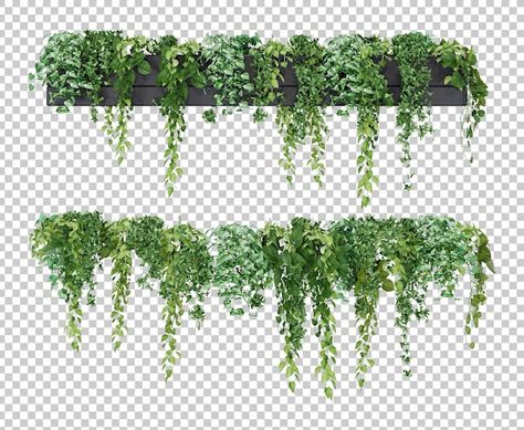 Hanging Plant Drawing, Plants Elevation, Photoshop Landscape, Curtains Vector, Hanging Plants Outdoor, Tree Doodle, Balcony Planters, Green Facade, Hospital Interior