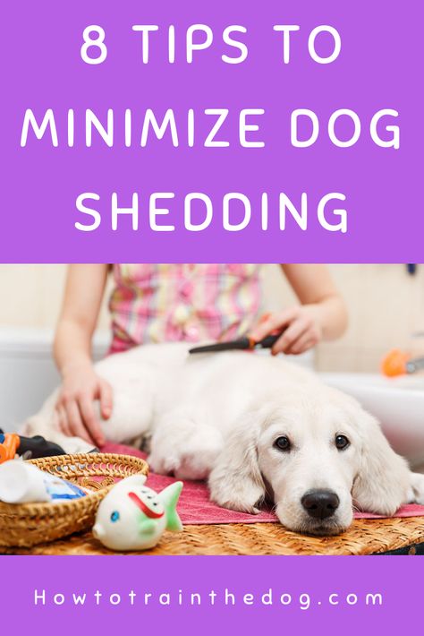 Shedding Dog Tips, How To Do The Heimlich On A Dog, How To Clean Dog Glands, How To Demat Dog Hair, Stop Dog Shedding, How To Manage Dog Hair, Dog Boarding Kennels, Dog Skin Care, Dog Health Tips