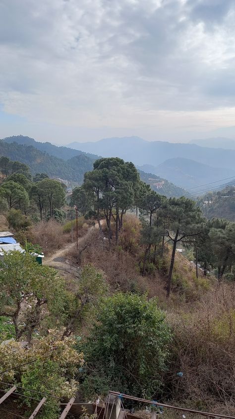 Beautiful view from Dharampur, Himachal Pradesh, clicked by Paramjit Singh Solan Himachal Pradesh, Aesthetic Highlights, Snap Story, Cheesy Quotes, Snap Ideas, Nainital, Shimla, Hill Station, Himachal Pradesh