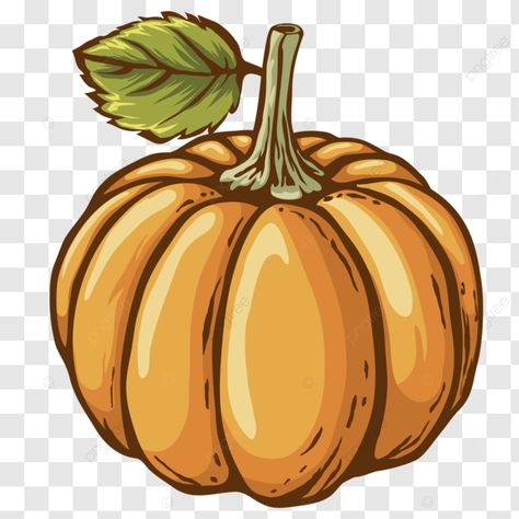 pumpkin vector illustration design template vegetables halloween pumpkin png Pumpkin Cute Illustration, Pumpkin Vector Illustration, Halloween Vegetables, Pumpkin Drawing, Pumpkin Illustration, Pumpkin Vector, Pumpkin Png, Vector Illustration Design, Png Transparent Background