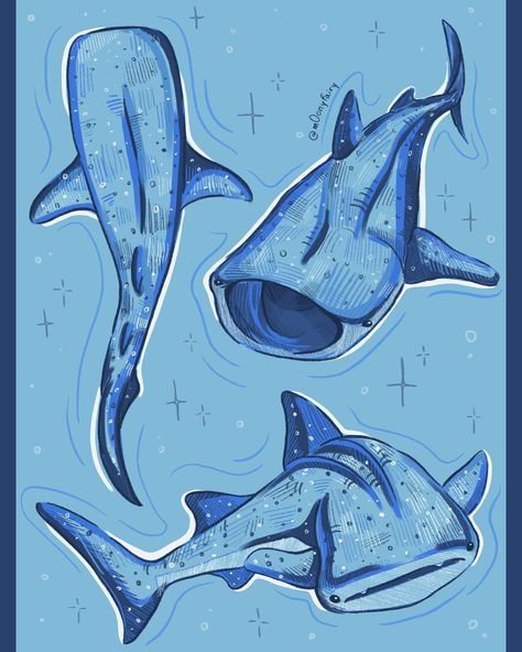 i’m currently obsessed with whale sharks so here are some sketches 🥹🩵 aren’t they so cute ???? ___ #art #artist #artistic #sketch #sketches #sketching #sketchdaily #sketchbook #sketchbooks #sketchbookart #whaleshark #whalesharks #whalesharkswimming #digitalart #digitalartist #digitalsketching #digitalsketchbook #procreate #shark #sharks #sharkdrawing Shark Reference Drawing, Whale Shark Art Cute, Wale Sharks Drawing, Shark Drawings Cute, Shark Sketchbook Page, Whale Shark Drawing Cute, Whale Shark Drawing Sketches, Shark Drawing Reference, Whale Shark Sketch