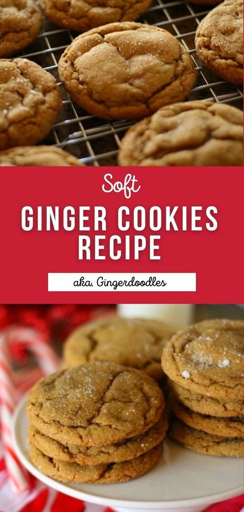 These soft-baked Ginger Cookies, or Gingerdoodles, are the quintessential Christmas cookie! Chewy, buttery, and full of warm spices that everyone will love. Gingerdoodle Cookies, Ginger Cookies Recipe, Ginger Spice Cookies, Ginger Cookies Christmas, Spice Cookie Recipes, Soft Ginger Cookies, Chewy Ginger Cookies, Ginger Cookie Recipes, Best Christmas Desserts