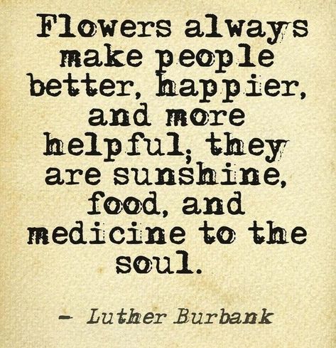 Sunshine Food, Flowers Quotes, Garden Quotes, Flower Quotes, Rising Sun, Nature Quotes, Wonderful Words, Quotable Quotes, Make Me Happy