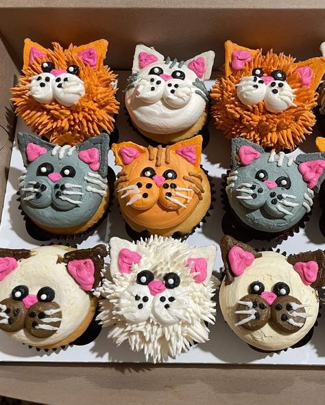 Amazing Cupcakes Designs, Cat Face Cupcakes, Cat Decorated Cupcakes, Cat Pull Apart Cupcake Cake, Kitty Cat Cupcakes Ideas, Kitten Cupcakes For Kids, Cat And Dog Cupcakes, Kitty Cupcakes For Kids, Cat Themed Desserts