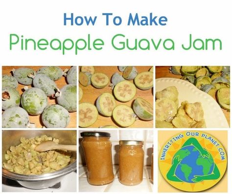 How to Make Pineapple Guava Jam - DIY Inspired Guava Plant, Refrigerator Jam, Guava Recipes, Guava Jelly, Guava Jam, Pineapple Guava, Yummy World, Guava Fruit, Flowers And Fruit