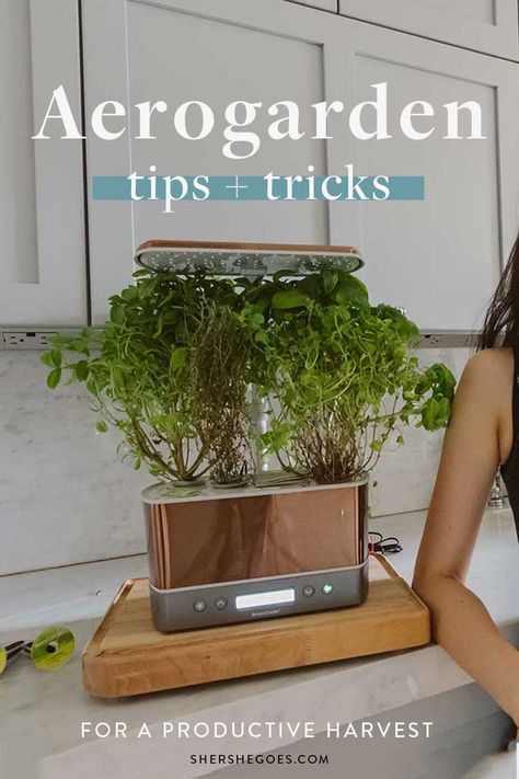 Herb Garden Hydroponic, Hydroponic Herbs Indoor, Best Plants To Grow In Aerogarden, Aero Garden Tips, Aero Garden Hack, Indoor Garden Hydroponics, Aero Garden Diy Pods, Aero Garden Ideas, Aerogarden Shelf Ideas