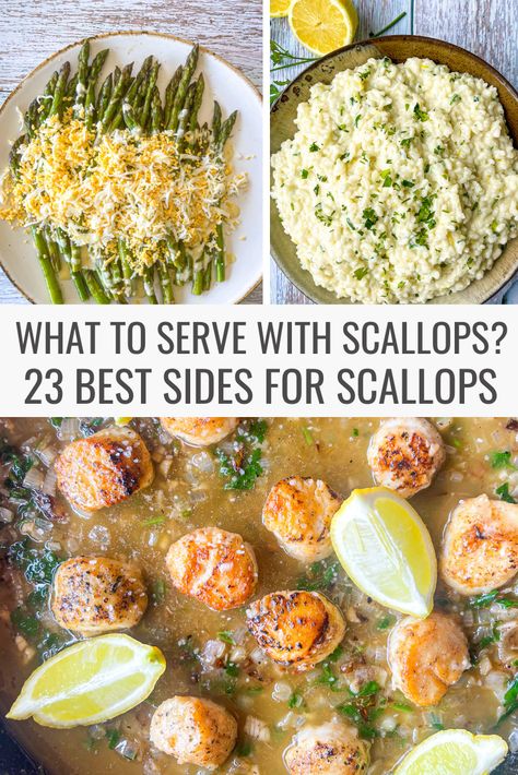 Side Dishes For Scallops, List Of Side Dishes, Best Scallop Recipe, Bay Scallop Recipes, Scallop Recipes Healthy, Shrimp And Scallop Recipes, Easy Scallop Recipes, Seared Sea Scallops, Scallops Salad