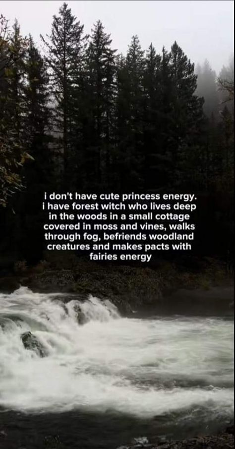 Forest Witch Aesthetic, Witch Cabin, Fairy Energy, Forest Quotes, Fairy Quotes, Viking Quotes, Fairy Witch, Witch Quotes, Green Witchcraft