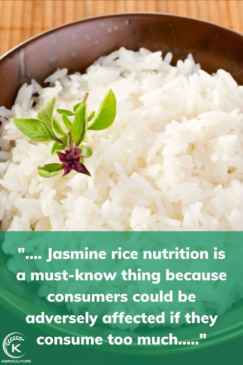 Rice is a staple ingredient in every Asian meal thanks to its easy-to-digest characteristics and high nutritional content in each type of rice. Jasmine rice nutrition is a must-know thing because consumers could be adversely affected if they consume too much. Is Jasmine Rice Healthy, Jasmine Rice Benefits Health, Jasmine Rice Benefits, Rice Benefits, Rice Alternatives, Healthy Food Recipies, Healthy Foods To Make, Rice Varieties, Lunch Recipes Healthy