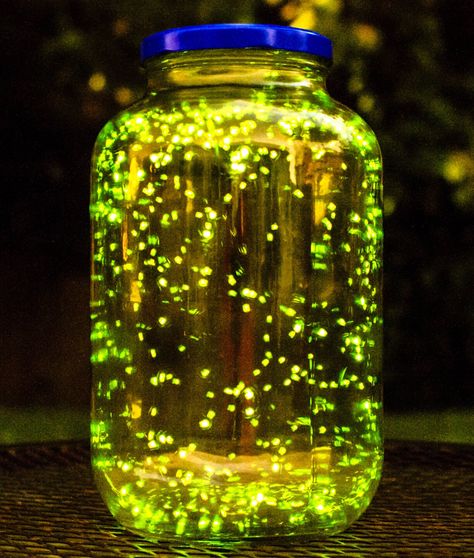 Firefly Festival, Fireflies In A Jar, Long Exposure Photos, Camera Shutter, Long Exposure Photography, Exposure Photography, Stunning Photography, Street Lamp, Traffic Light