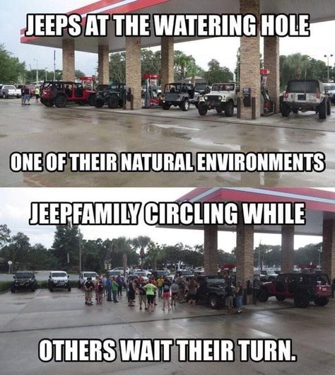 Jeep Meme, Jeep Jokes, Jeep Inspiration, Jeep Humor, Jeep Quotes, 1997 Jeep Wrangler, Jeep Things, Jeep Jku, Truck Quotes