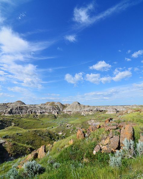 Visited here with Delaney, road trip from Winnipeg to Alberta, summer 2000. UNESCO World Heritage Site Dinosaur Provincial Park, Alberta, Canada. PhotoGizmo, via Flickr Dinosaur Provincial Park Alberta, Alberta Summer, Southern Alberta, Canadian Prairies, Dinosaur Park, Parks Canada, Travel Canada, Park Landscape, O Canada