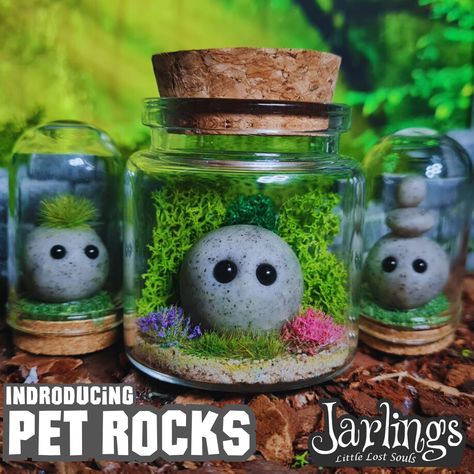 Discover Our Newest Companions: Pet Rocks!  Embrace the simplicity and charm of nature with our delightful Pet Rocks. Each rock is crafted with care, offering its own unique blend of whimsy and tranquillity to your space. Whether you're drawn to their peaceful presence, rugged charm, or mystical allure, these companions promise to bring joy to your home. Adopt your own Pet Rock today and let nature's beauty fill your space with positivity! Pet Rock Painting Ideas, Pet Rock House, Pet Rock Ideas, Rock Diy, Pet Rock, Fun Crafts To Do, Lost Souls, Rock Painting Ideas Easy, House On The Rock