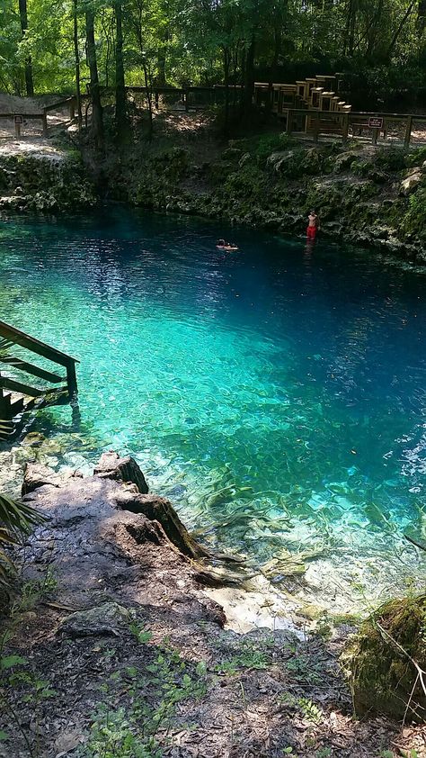 Madison Blue Springs, Florida Blue Springs State Park Florida, Blue Springs State Park, Florida Springs, Springs Florida, Blue Springs, Spring Aesthetic, 2024 Vision, Travel Poster, Blue Water