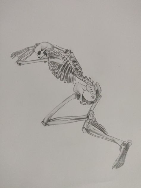 Back side skeleton laying down pencil sketch Simple Skeleton Drawing, Side Skeleton, Anatomy Pose, Deity Work, Skeleton Anatomy, Skeleton Drawings, Skull Art Drawing, Skeleton Tattoos, Pen Art Drawings