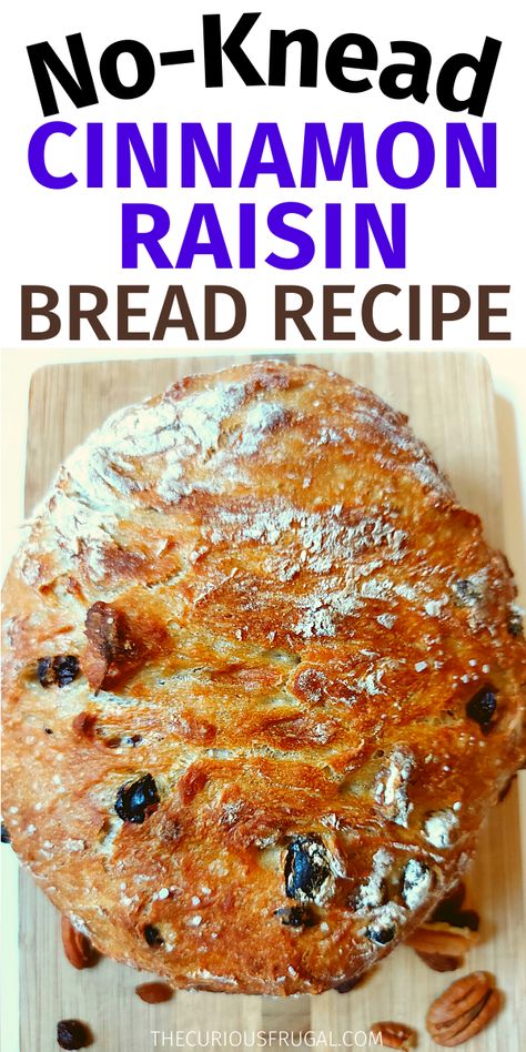 Raised Bread Recipe, Cinnamon Raisin Dutch Oven Bread, Cinnamon No Knead Bread, Dutch Oven Cinnamon Raisin Bread, Cinnamon Raisin Bread Dutch Oven, Durch Oven Bread Recipes, Chibata Bread Recipes, Rustic Bread Recipes, Dutch Oven Bread Quick