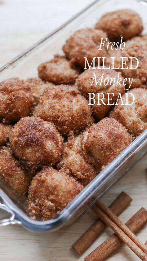 The Best Monkey Bread Recipe With Fresh Milled Flour - Generation Acres Farm Fresh Flour Recipes, Sunrise Flour Mill Recipes, Milled Grain Recipes, Fresh Milled Flour Cake, Fresh Milled Flour Scones, Fresh Milled Flour Cinnamon Rolls, Home Milled Flour Recipes, Fresh Milled Flour Desserts, Fresh Milled Flour Muffins