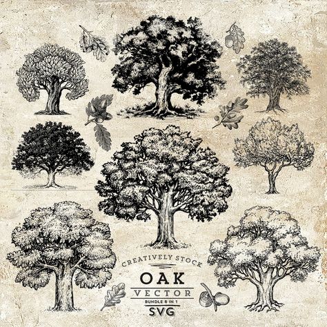 This is INSTANT and DIGITAL DOWNLOAD DIGITAL FILE- NO PHYSICAL PRODUCT WILL BE SENT Black Oak Tree SVG, for printing and laser engraving. Only 1 color - black. This package of files contain Oak Tree Clipart. , WHATS INCLUDED: SVG - vector file containing the main designs and the icons. It allows Oak Wallpaper, Tree Engraving, Justin Tattoo, Oak Tree Drawings, Oak Tree Silhouette, Black Oak Tree, Family Tree Svg, Tree Branch Tattoo, Tree Drawing Simple