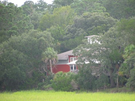 Visit Sapelo Island Sapelo Island, Georgia On My Mind, Future Travel, On My Mind, My Mind, Georgia, Cabin, House Styles, Travel